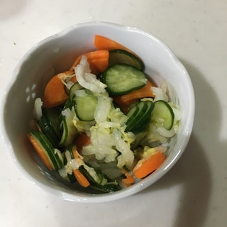 野菜の酢漬け
